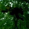 rope traverse 2003