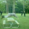 Dee  taihenjutsu over a picnic table