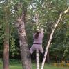 Tree climbing or running up a tree or wall (shoten no jutsu)